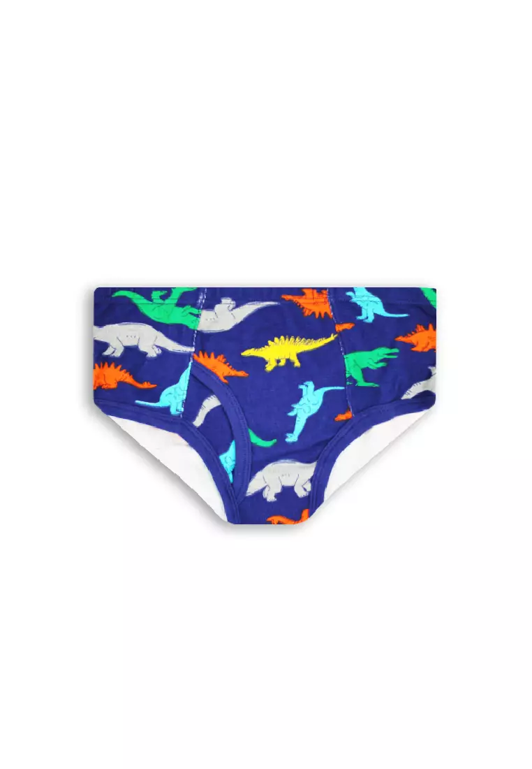 Buy Biofresh Boys' Antimicrobial Brief 3 Pieces In A Pack 2024 Online