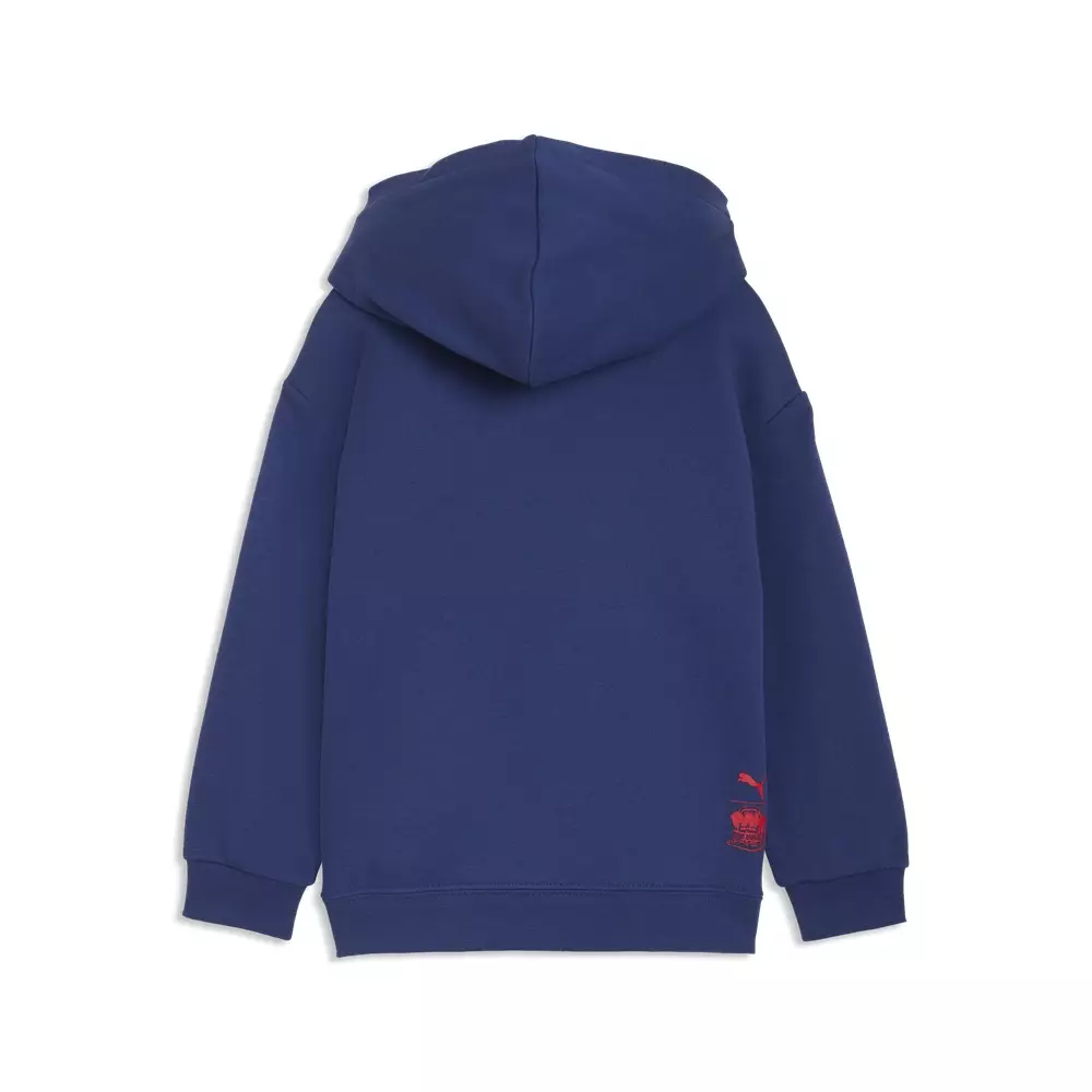 PUMA X PAW PATROL Graphic Print Hooded 63493649 - Hoodie Anak (Biru)