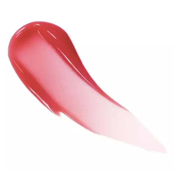 Dior Addict Lip Maximizer 024 Intense Brick