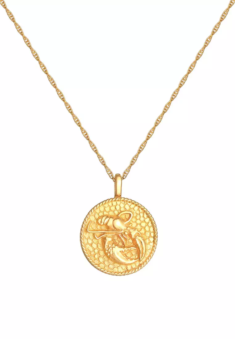 Gold zodiac hot sale coin necklace