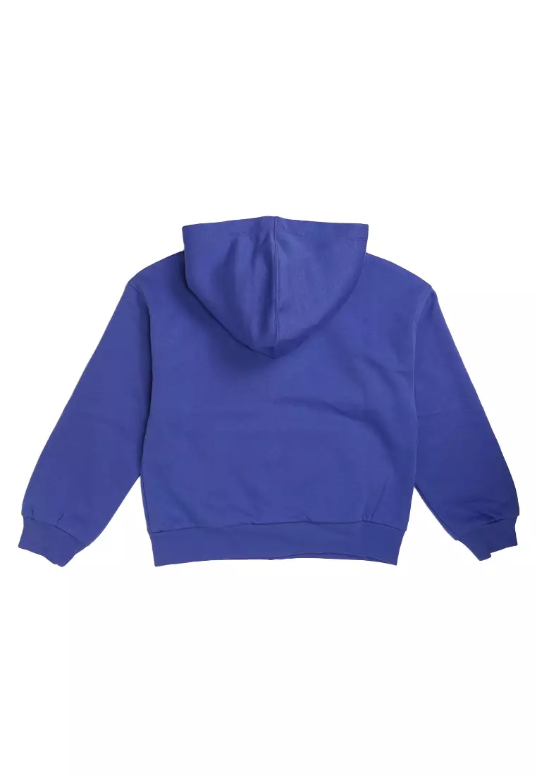 Vintage Soft Logo Full Zip Hoodie
