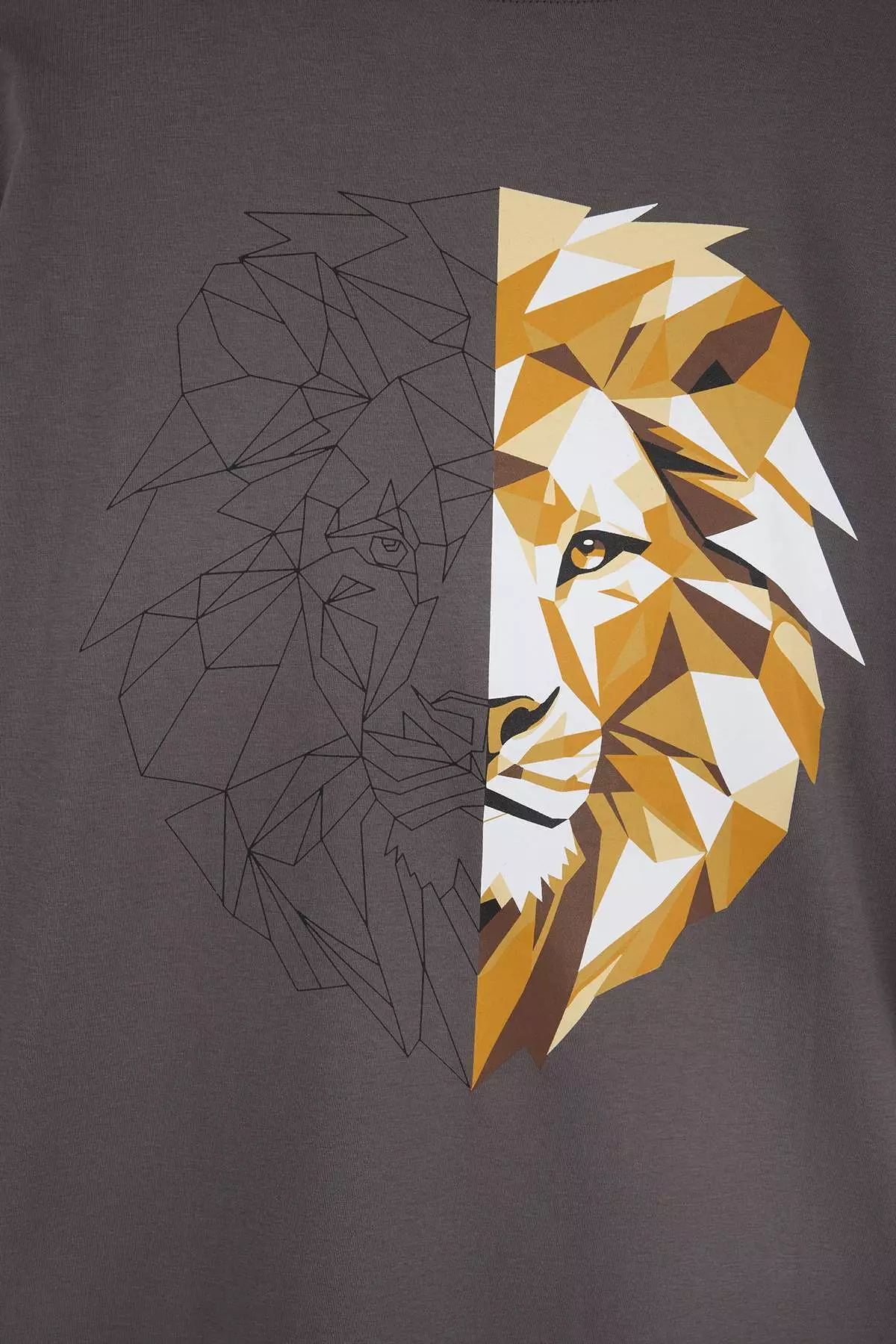 Anthracite Oversized /Wide Cut Back Lion Printed 100% Cotton T-Shirt Tmnss25Ts00117