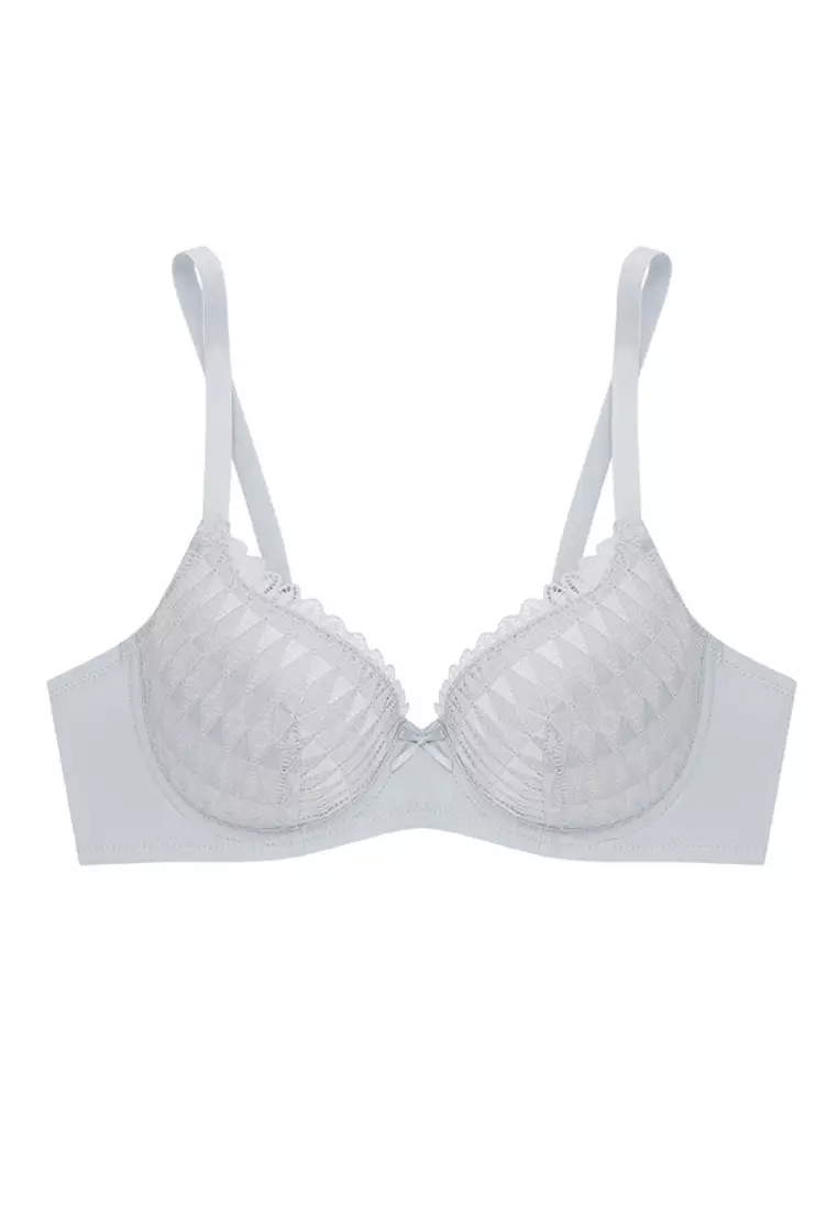 Buy SABINA HBDW4015 (Light Gray) Wired Non-Push Up Thin Padding Bra ...