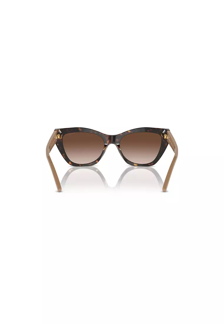 Women's Cat Eye Frame Brown Acetate Sunglasses - EA4176