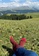 Freshly Pressed Socks black and red Freshly Pressed Gate 90D20AAC13BCC6GS_5