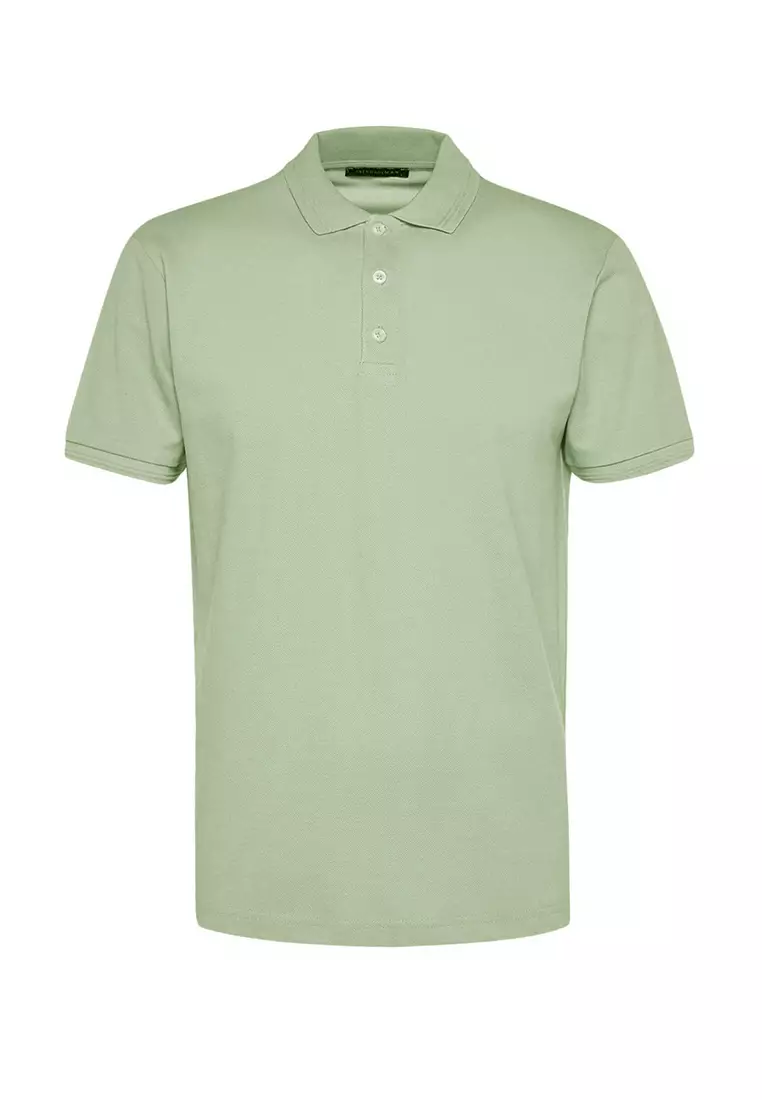 Mint Stripe Slim Fit Polo Neck T-Shirt - 100% Cotton Tmnss20Po0009