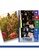 Joan Miro Joan Miro Scratch Card - Animal Kingdom 4246EES049A781GS_3