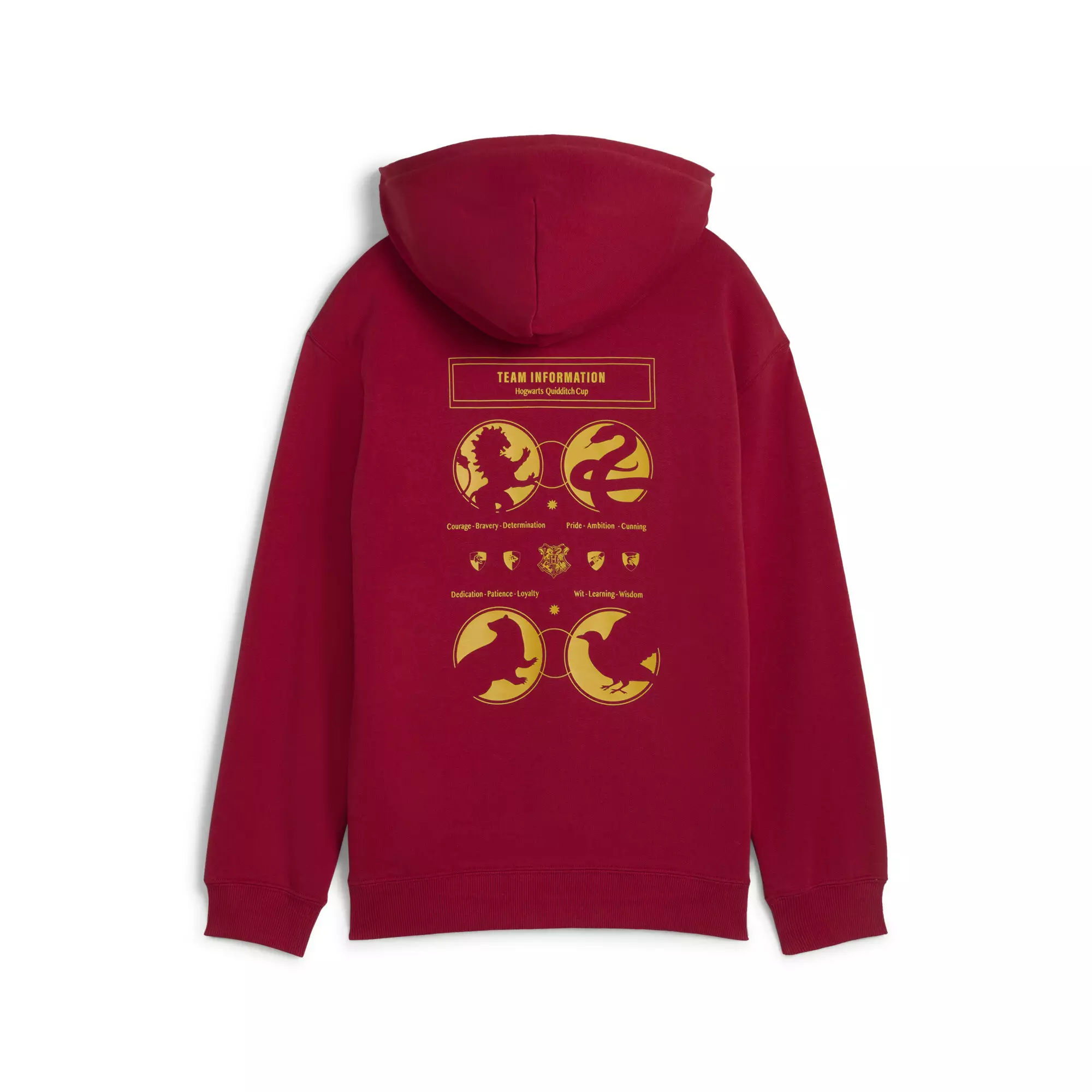 PUMA x HARRY POTTER Big Kids' Relaxed Graphic Hoodie