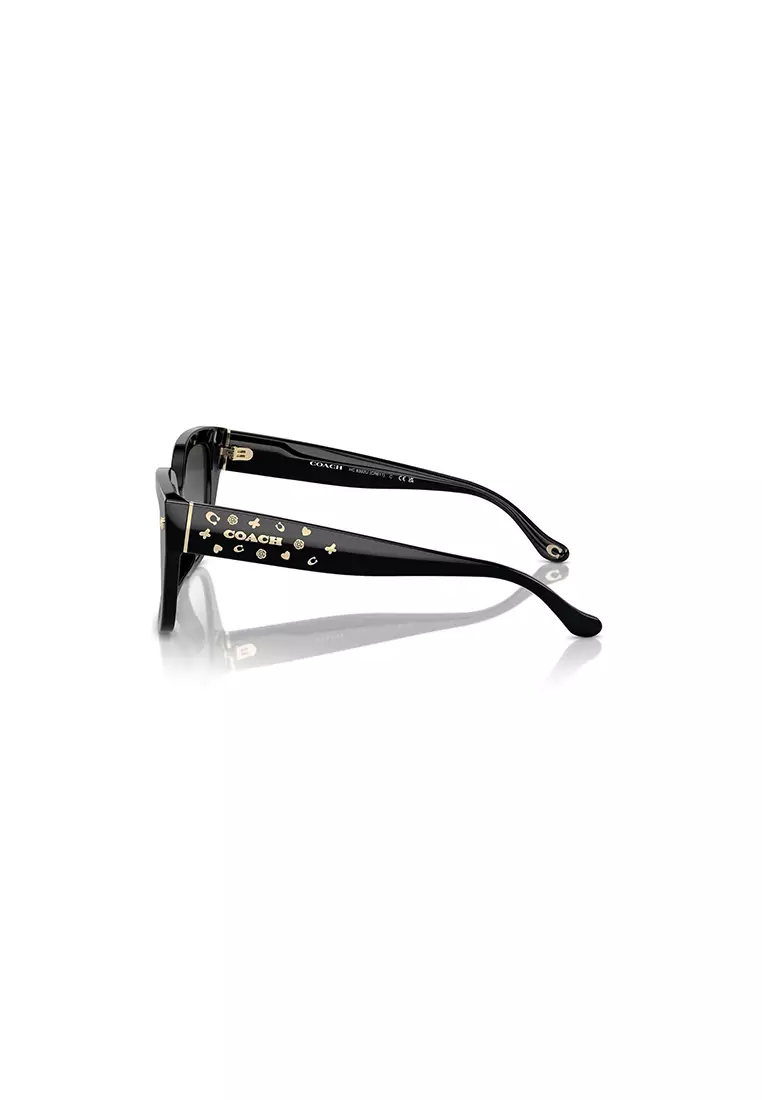 Women's Square Frame Black Acetate Sunglasses - HC8392U