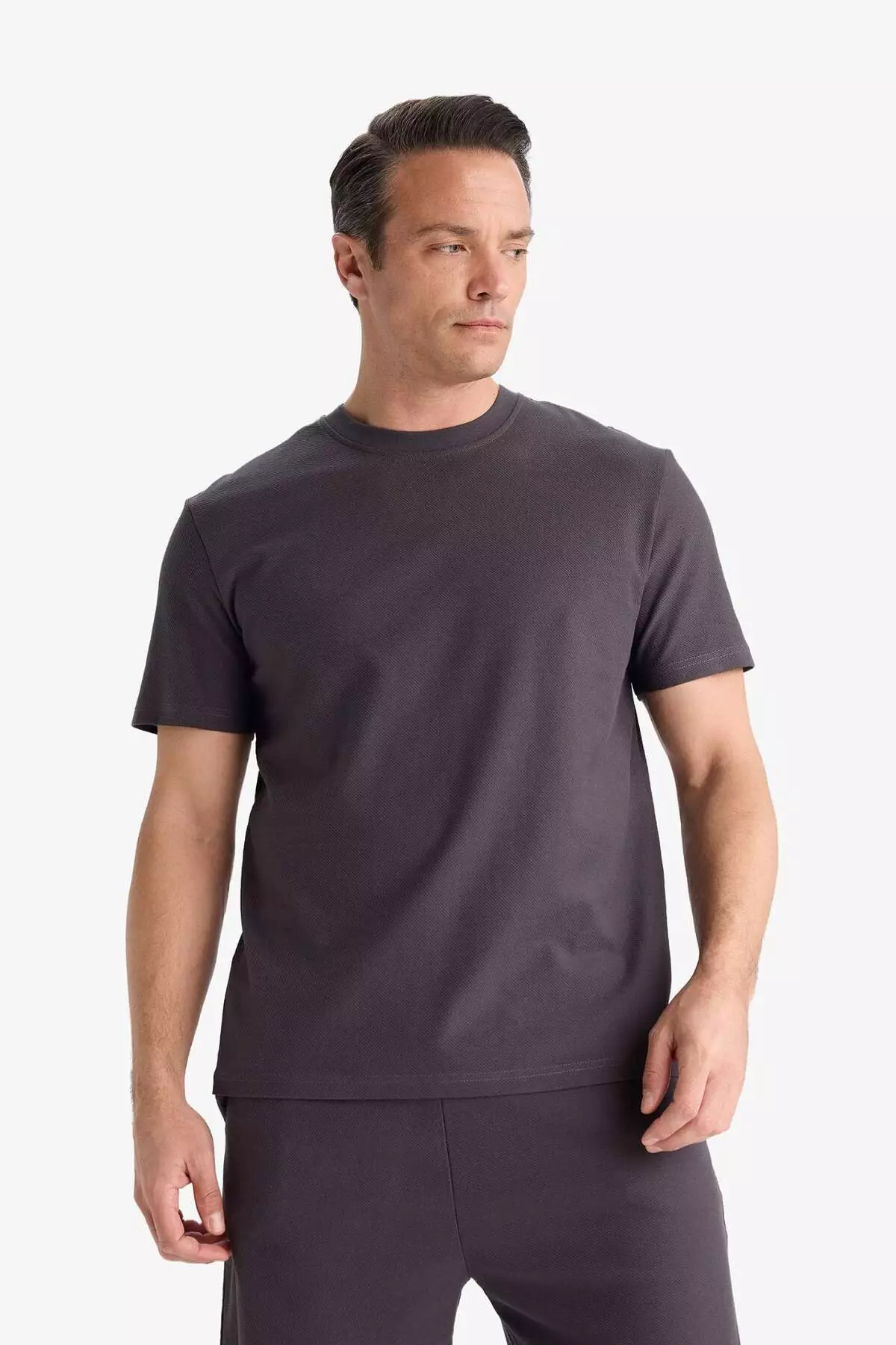 100% Cotton Regular Fit Crew Neck Short Sleeve Heavy Fabric T-Shirt E2589Ax25Sm