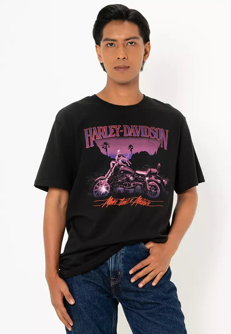 Buy Harley-Davidson Lowrider Sundown Graphic Tee Online ZALORA