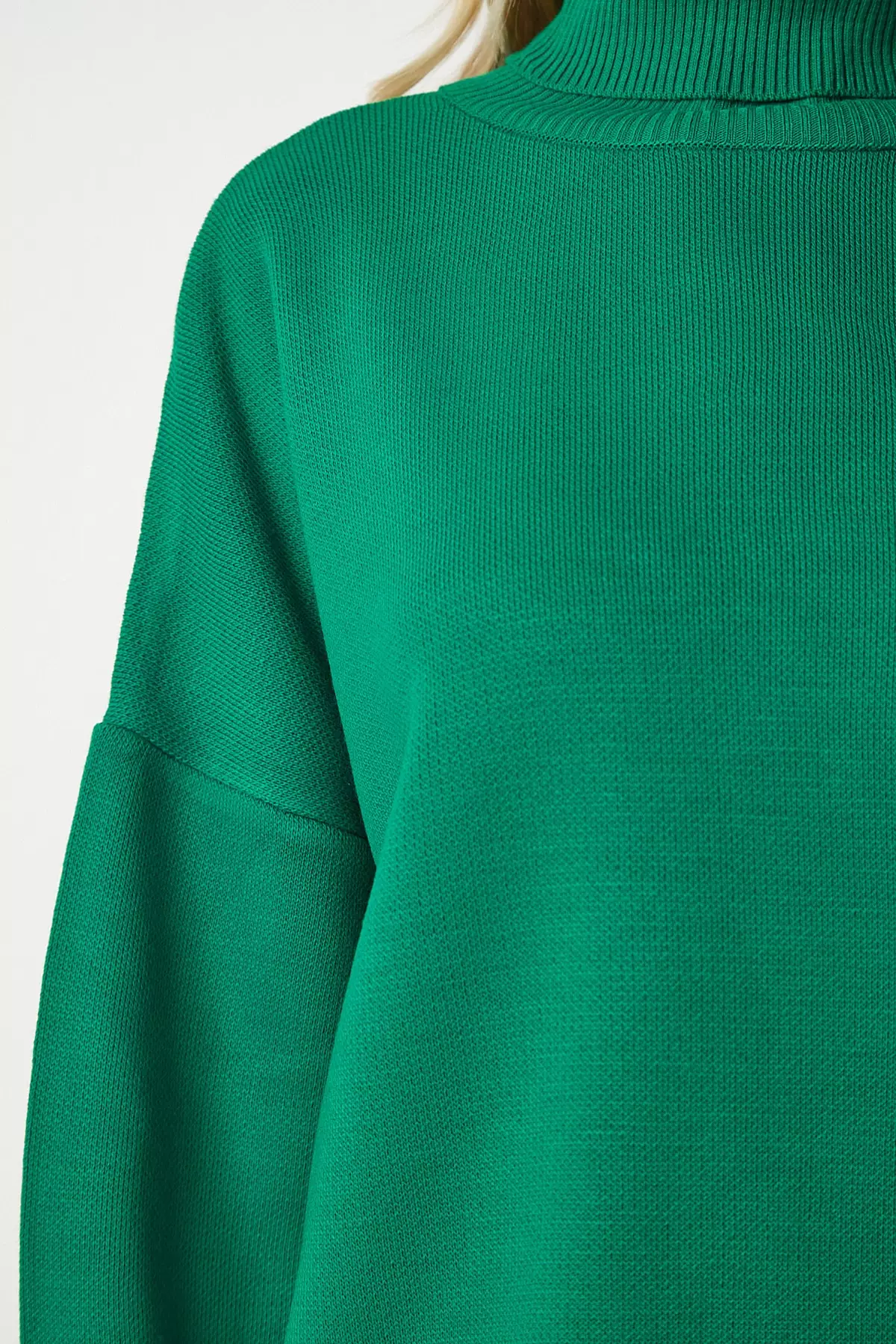 Turtleneck Knit Sweater