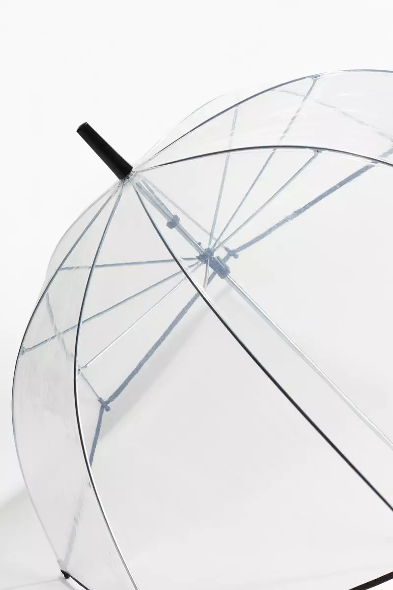 Transparent umbrella