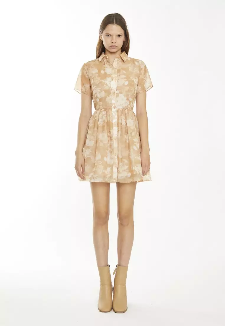 Collar Mini Dress