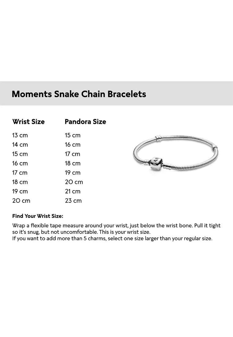 Pandora ph bracelet shop