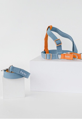 KAISU orange and blue Kaisuph Fruity Pop Collection Chill Set: Adjustable Collar and Leash In Blueberry Large E1146ES246A81BGS_1