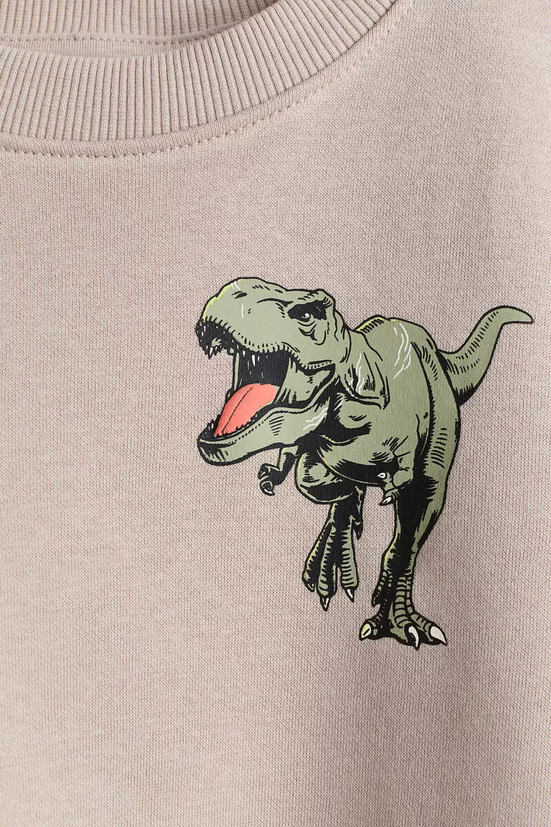 Printed sweatshirt