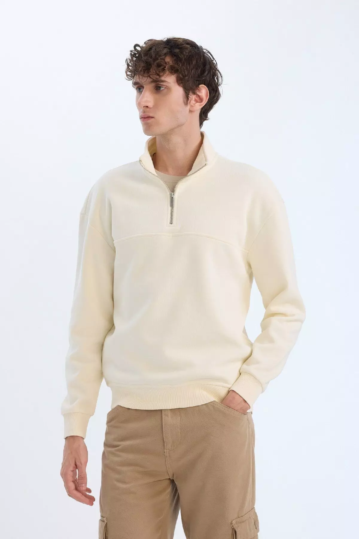 Relax Fit Stand Collar Zippered Basic Plain Thick Sweatshirt