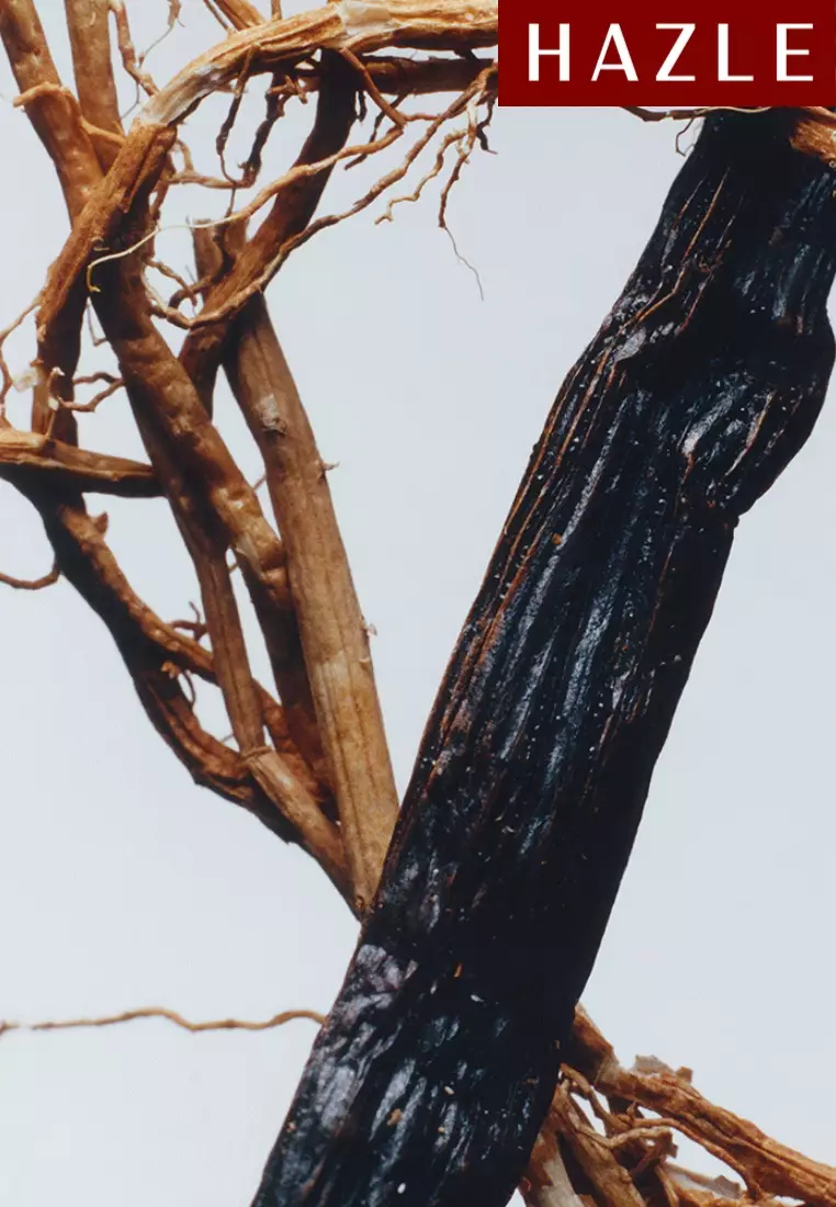 Vetiver & Golden Vanilla Unisex Cologne Intense 50 ml