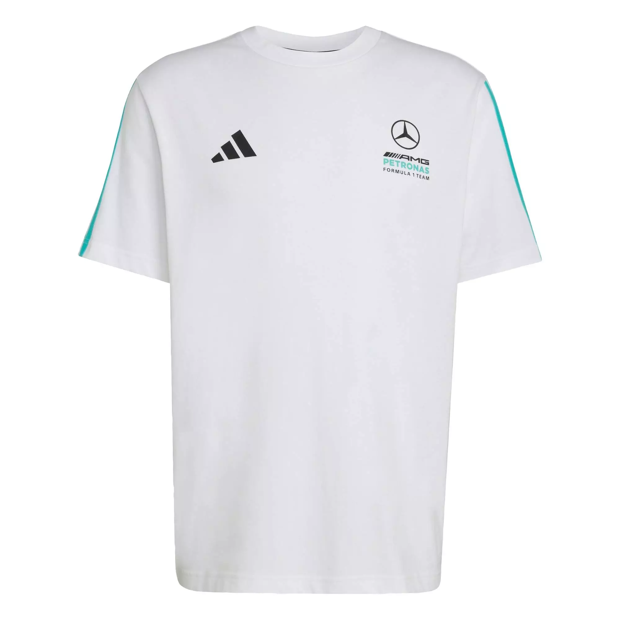 Motorsport MERCEDES - AMG PETRONAS FORMULA 1 TEAM DNA TEE Men White KE8162