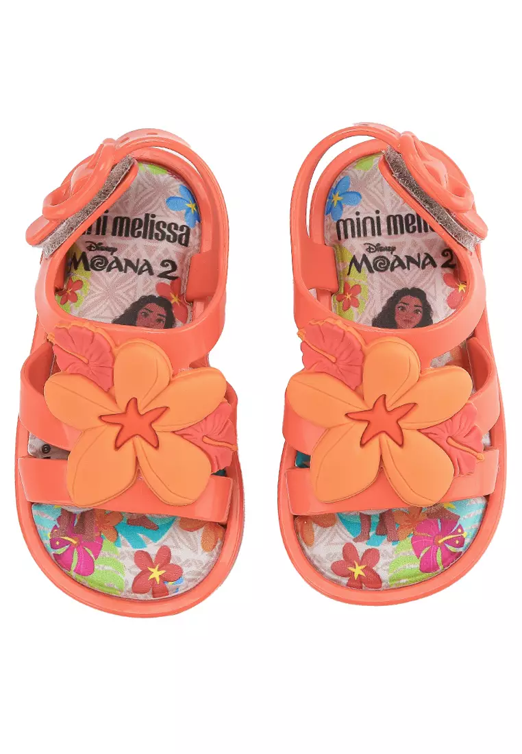 Colorland + Moana Bb