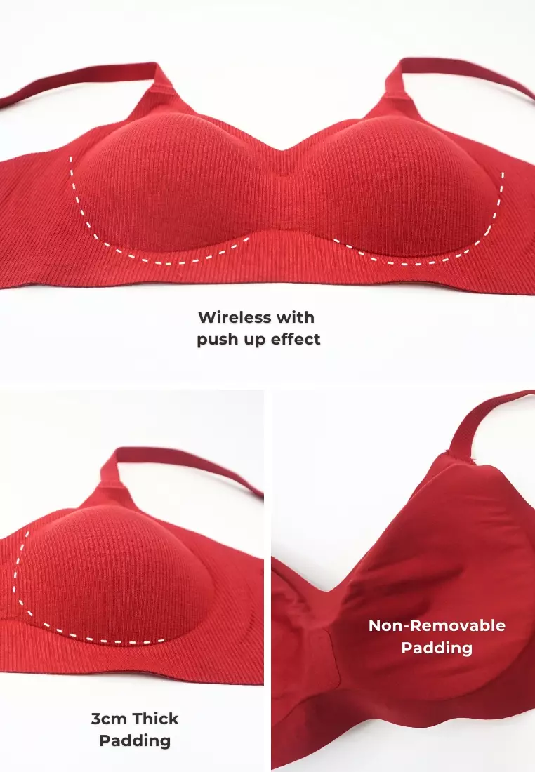 Premium Taylor Seamless Wireless Padded Support Bra in Black