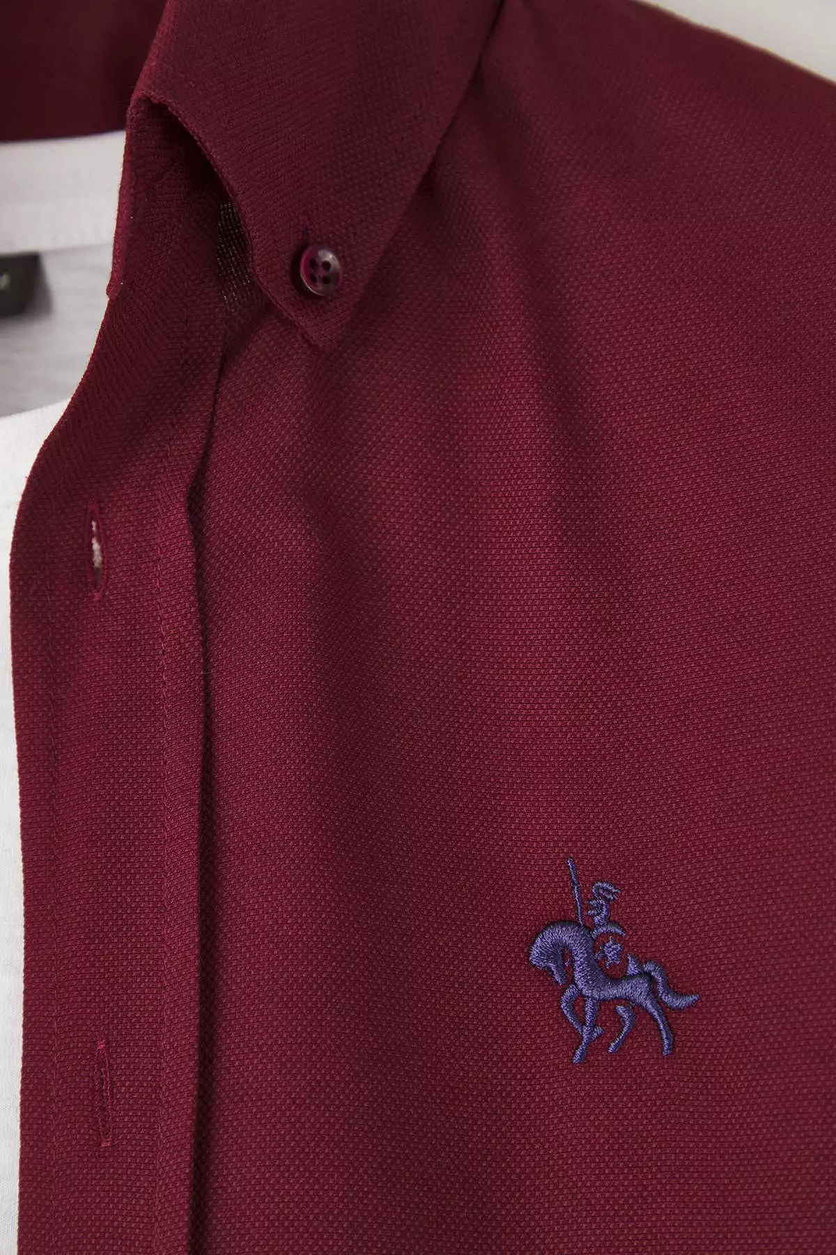 Burgundy Regular Fit Embroidered Oxford Men's Shirt