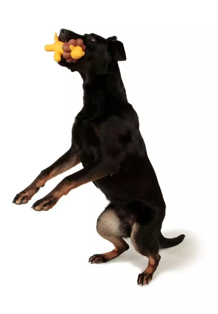 Outward Hound Dog Toy 2PK Dog Treat Maze Dog Tornado Doggy Fun 