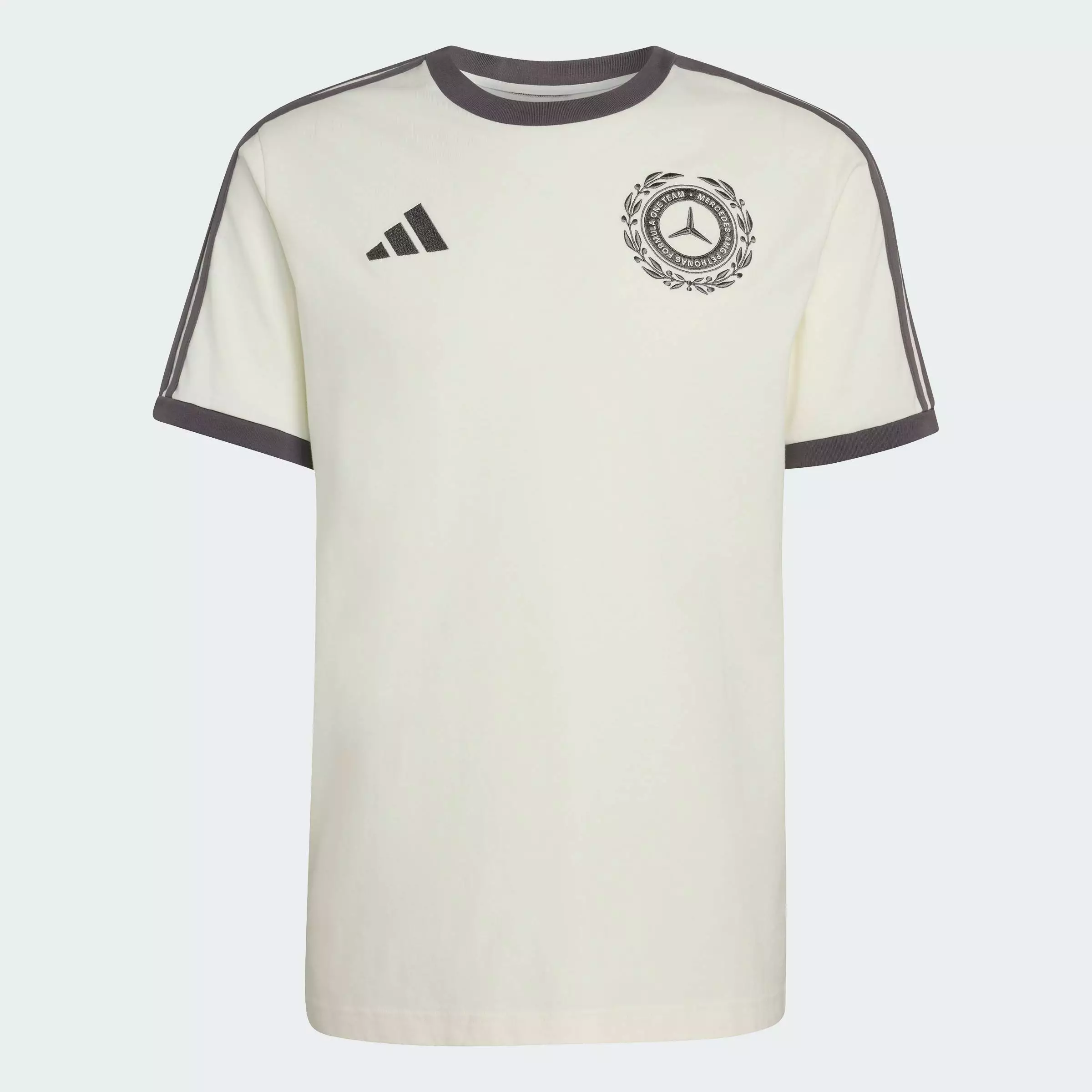 Motorsport MERCEDES - AMG PETRONAS FORMULA 1 TEAM SILVER ARROWS ICON TEE MEN Men White KE8275