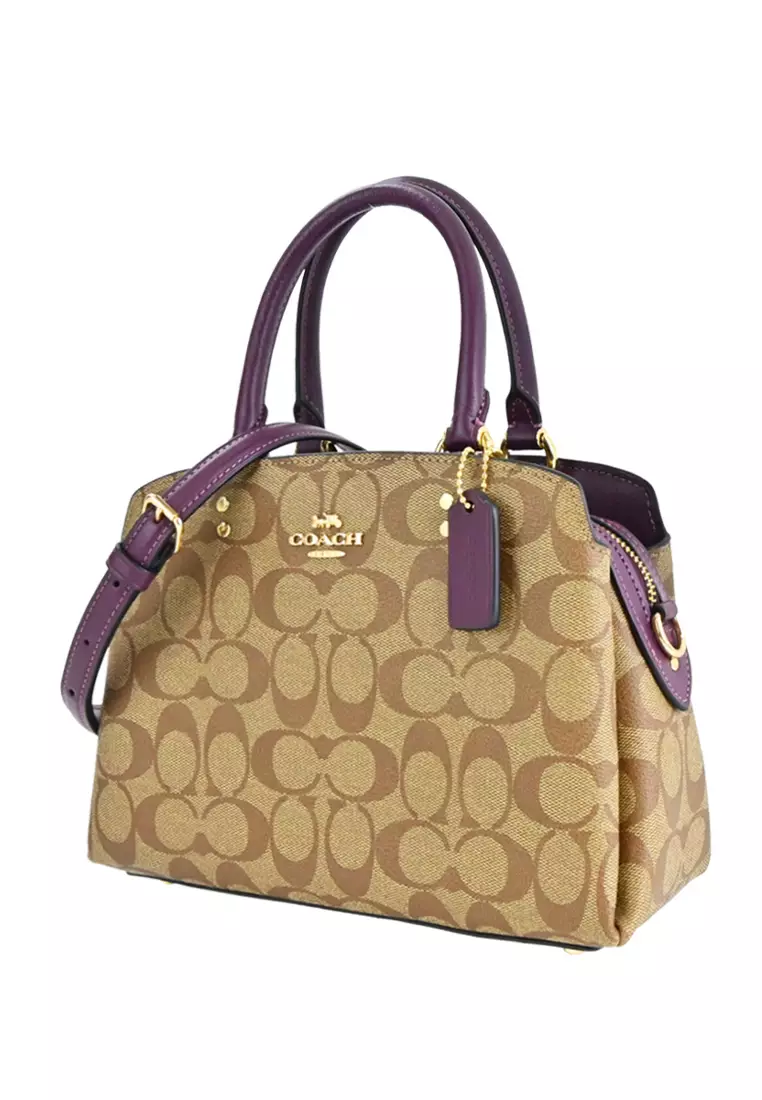 Mini lillie carryall coach sale