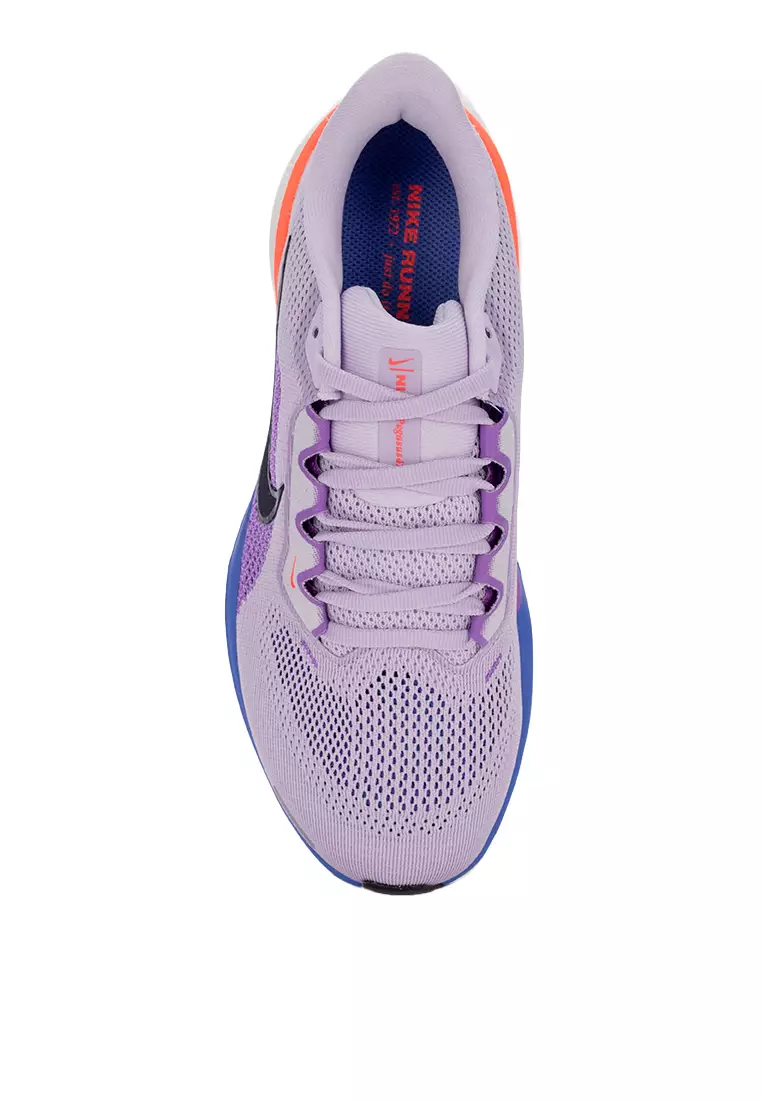 Pegasus 41
