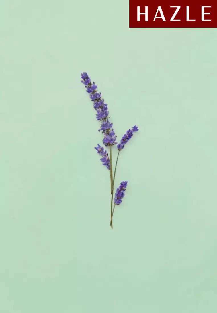 Gucci Guilty Pour Homme Man EDT 90 ml