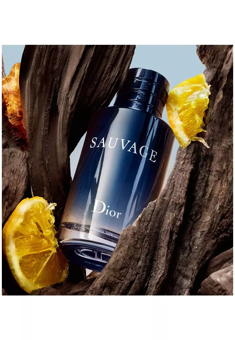 網上選購Christian Dior 曠野之心男士淡香水60ml 2026 系列| ZALORA香港