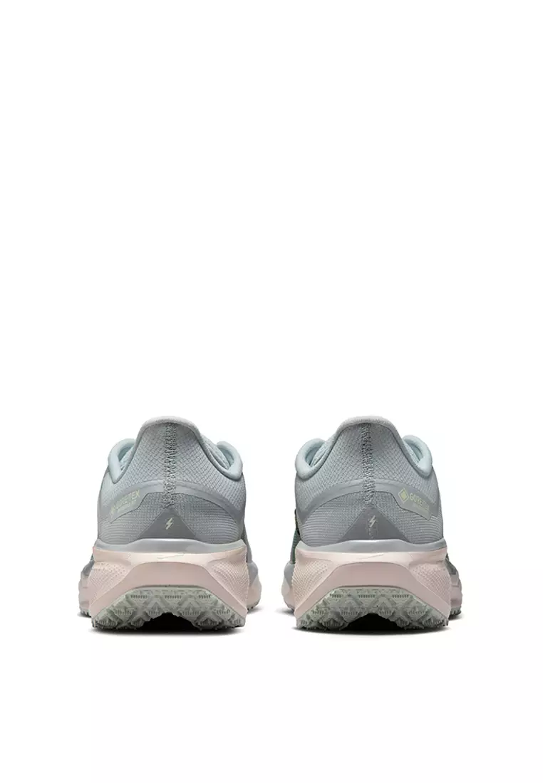 Air Zm Pegasus 41 Gtx