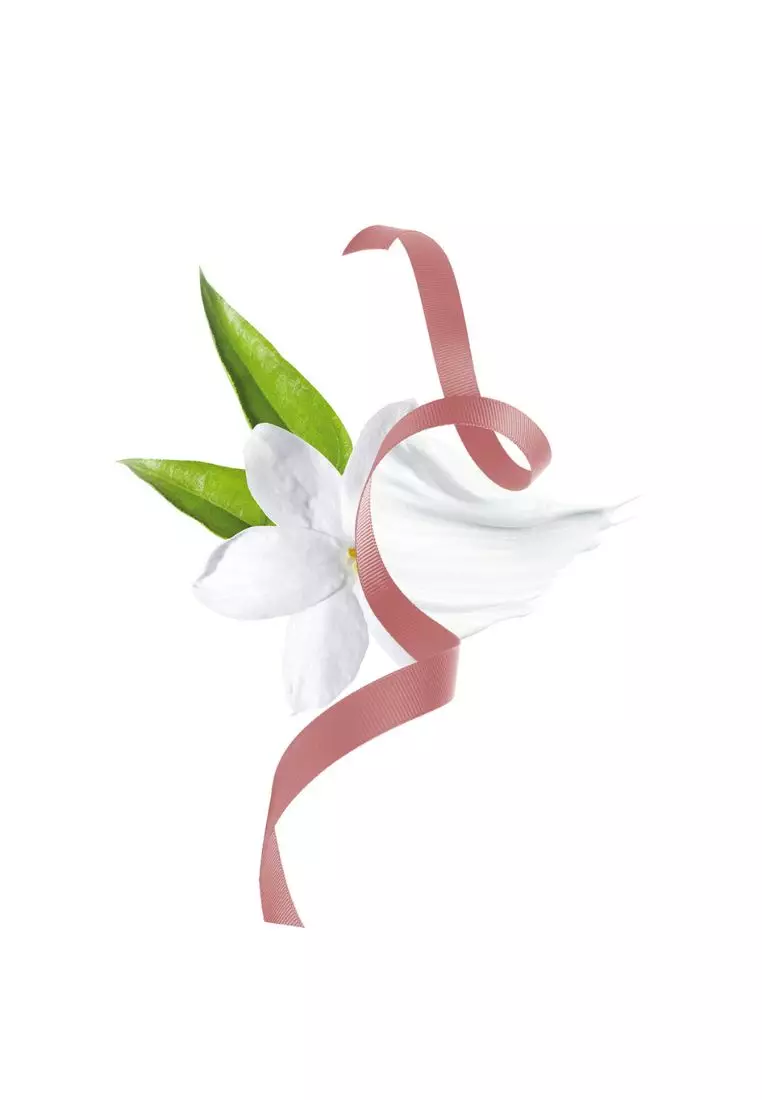 Signorina Eau de Parfum 100ml