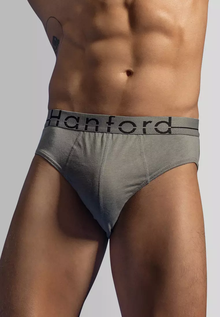 Regular Cotton Men's Briefs Polar - Assorted with Gray Garter (3in1 Pack)