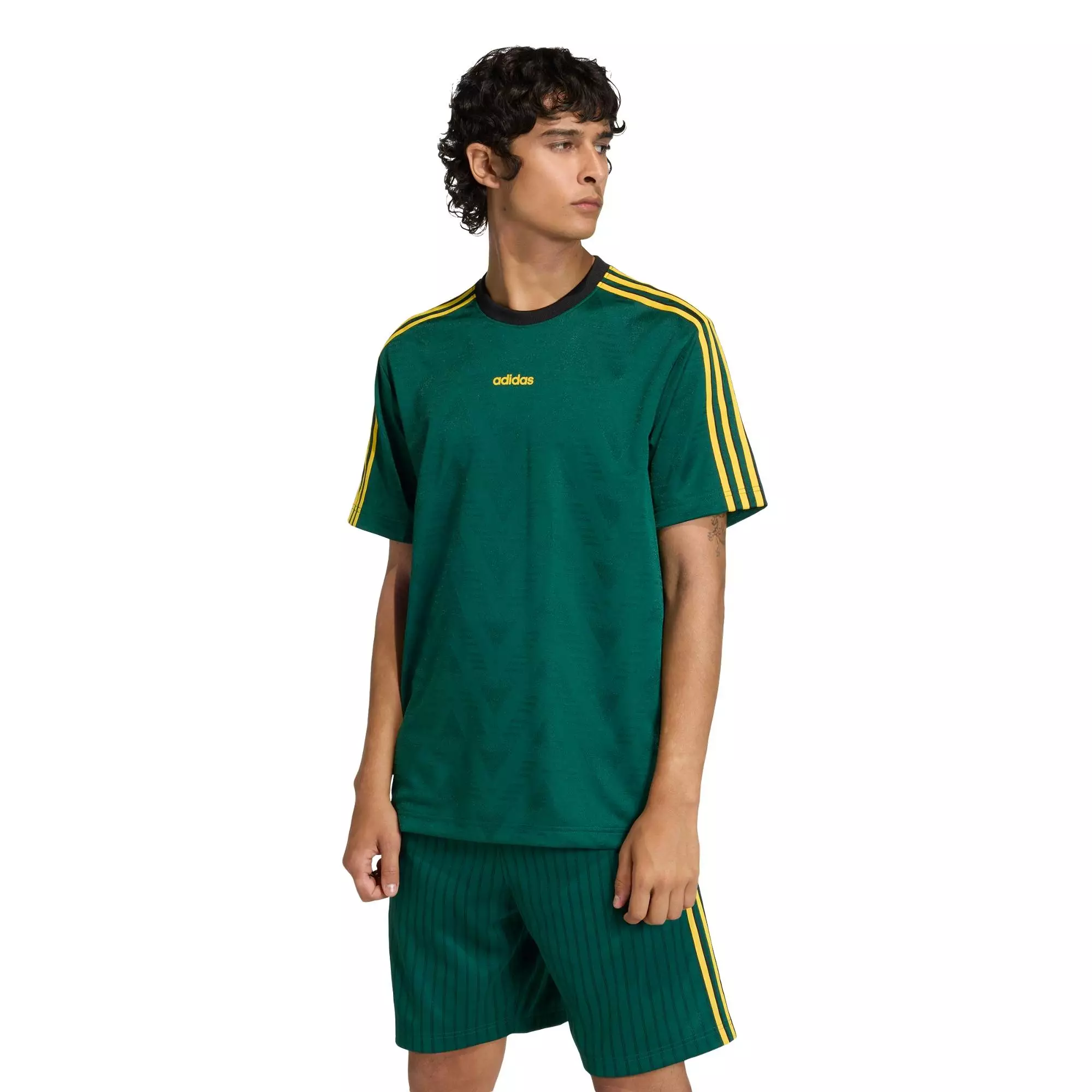 Lifestyle JACQUARD JERSEY Men Green KE3337