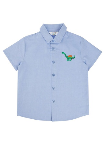 Trendyol blue Embroidery Shirt 62F33KA47AEE10GS_1