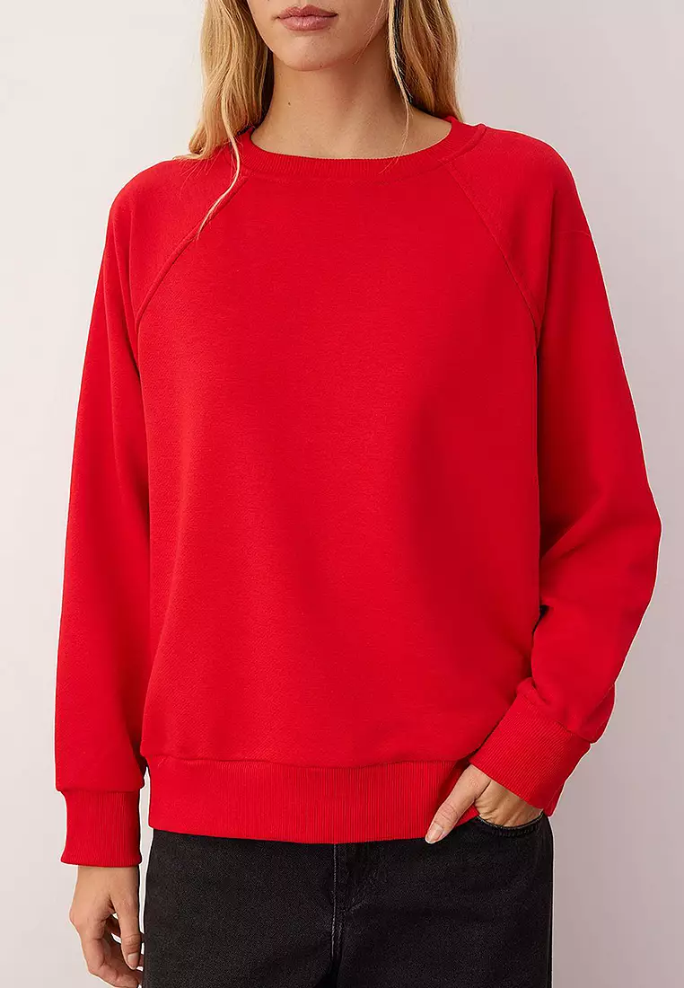 Pattern Basic Raglan Sleeve Crew Neck Knitted Sweatshirt