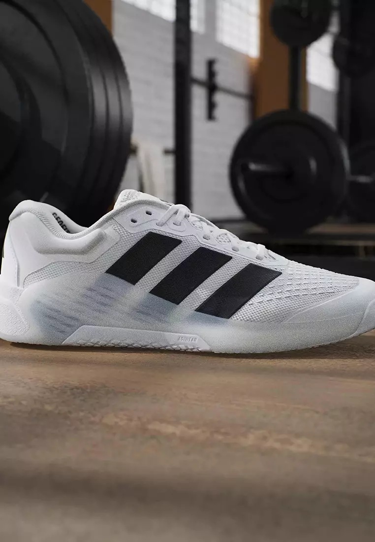 Dropset 4 Training Shoes