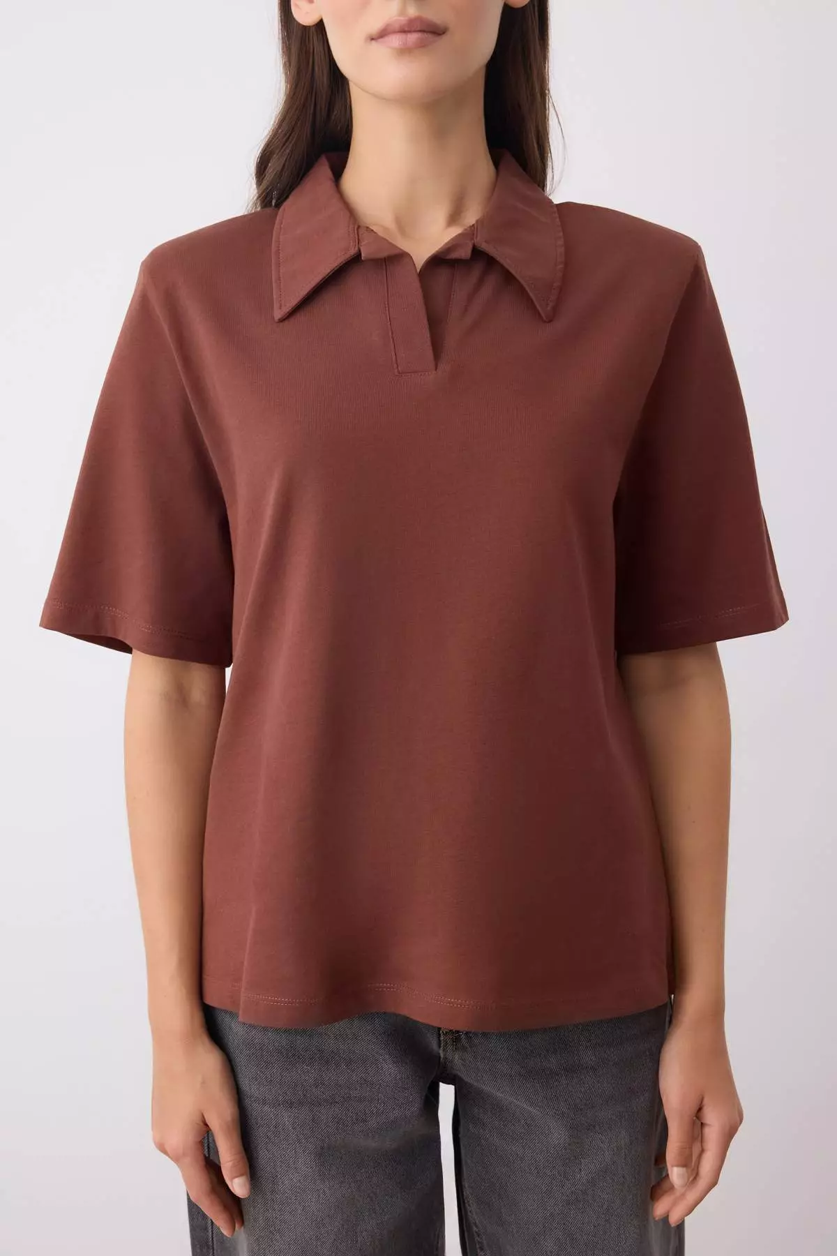 Brown Thick Cotton Padded Polo Collar Regular/Normal Pattern Knitted T-Shirt