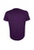 Santa Barbara Polo & Racquet Club purple SBPRC Regular Plain T-Shirt 15-2110-99 20C10AA0957073GS_4