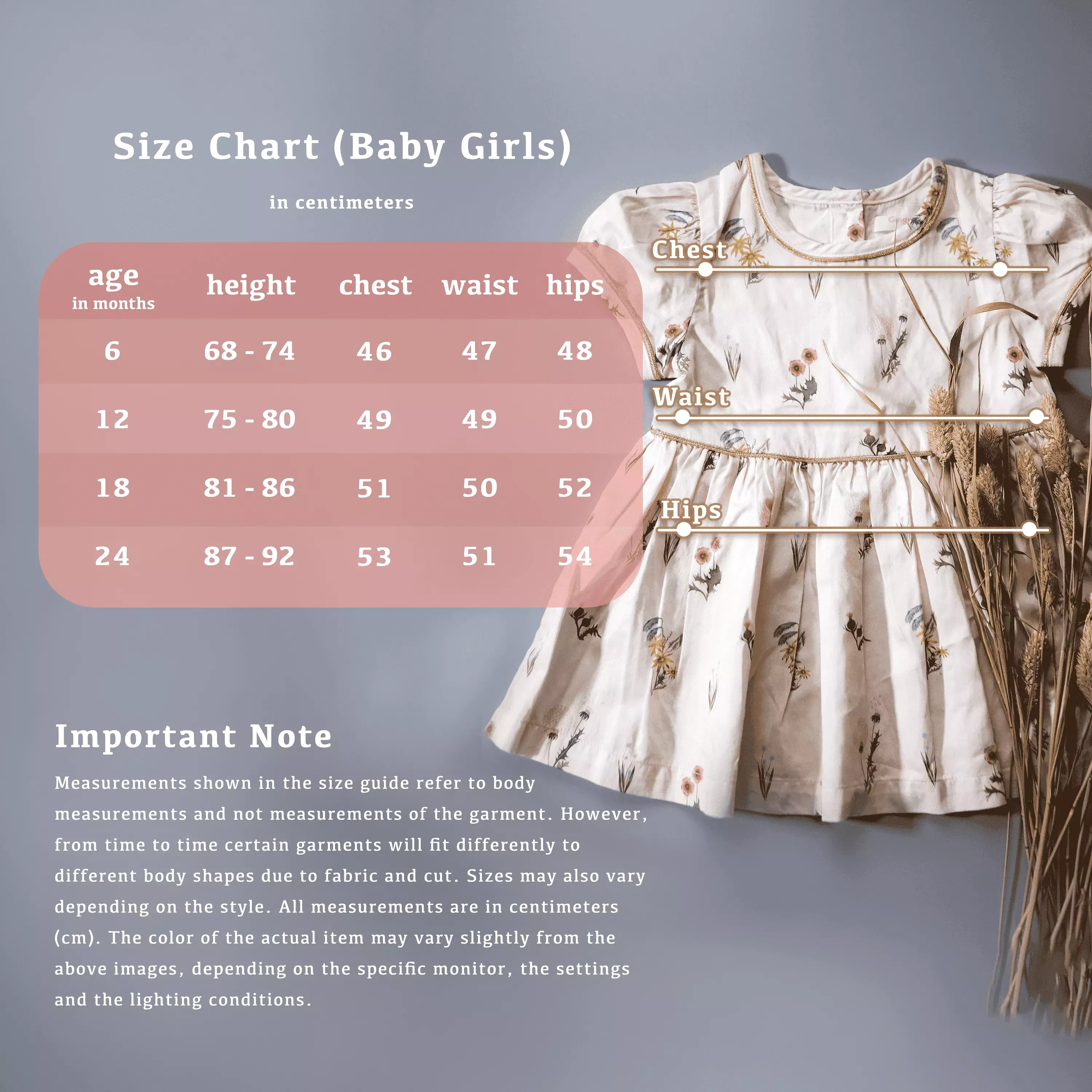 Gingersnaps Baby Vintage Marina Set-Dress - Set Bayi Perempuan (Putih)