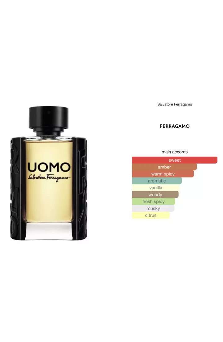 Salvatore Ferragamo Uomo Man - 100 ML (Parfum Pria)