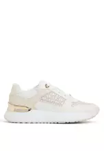 Cream Multi