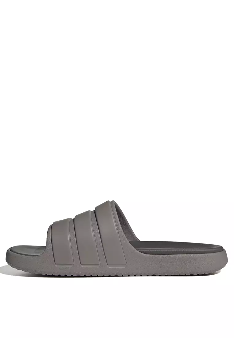 Znsory Slides