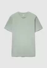 Pastel green