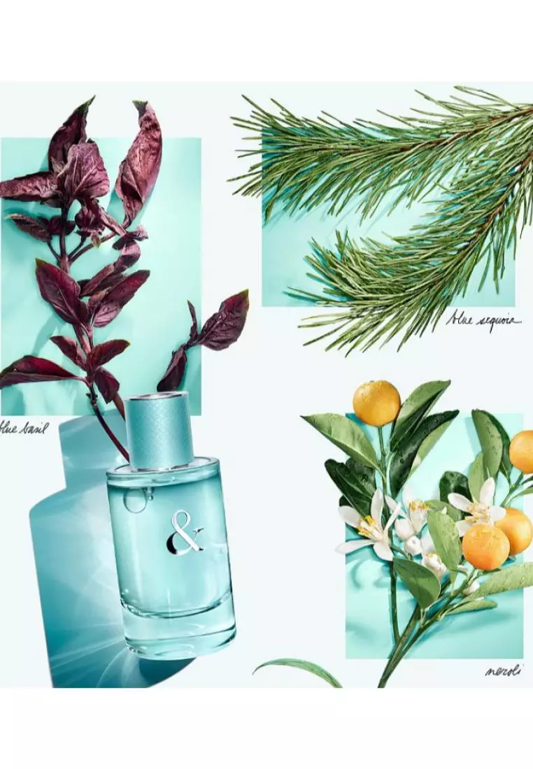 網上選購Tiffany & Co Tiffany & Love 女士香水90ml 2026 系列| ZALORA香港