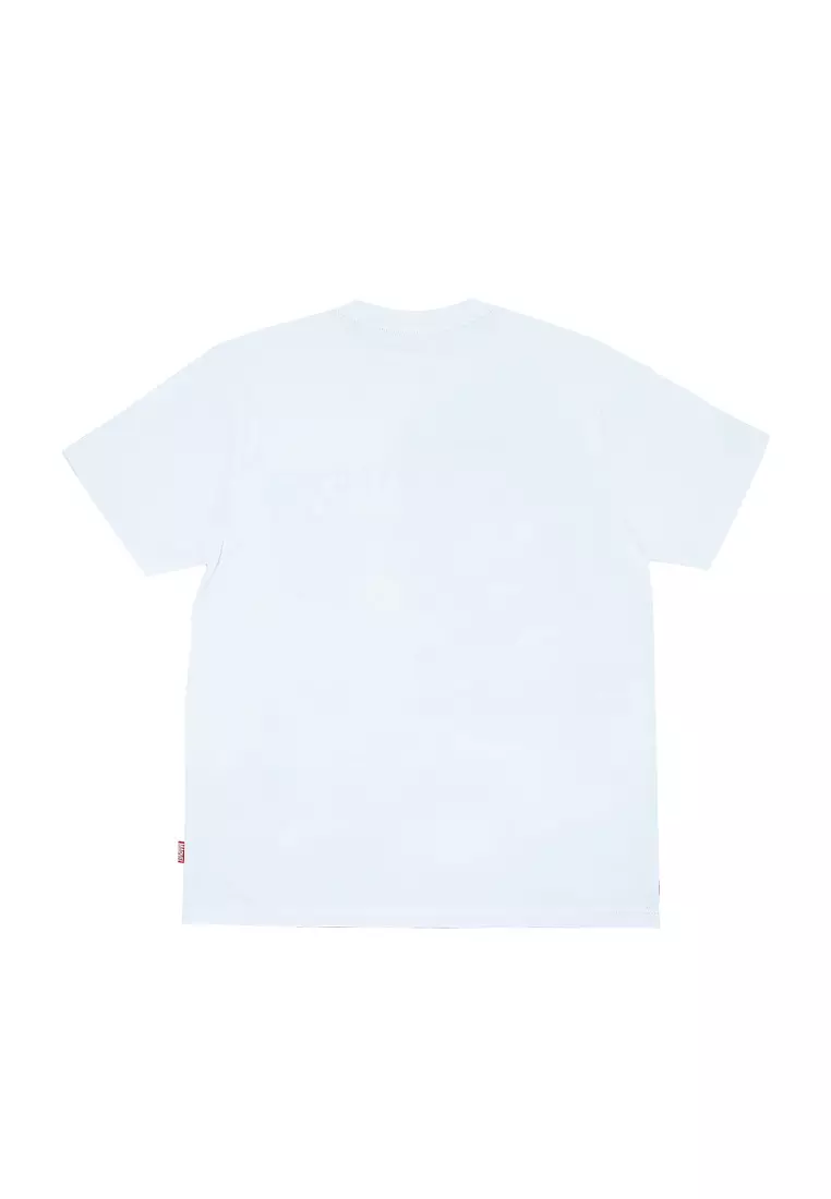 Mens Licensed Graphic T-Shirt "Doctor Doom"