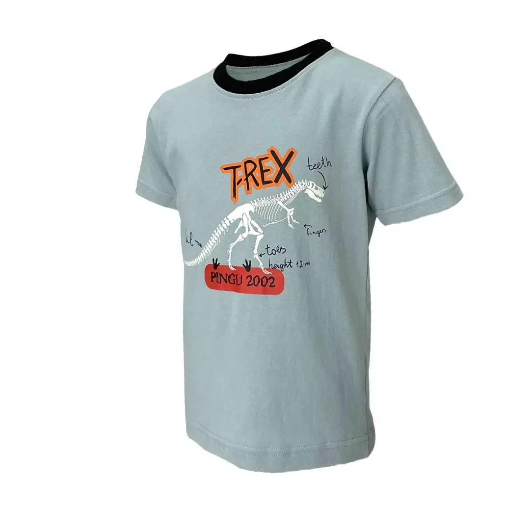 Pingu Kaos Anak Laki Laki Sablon T-Rex Tosca 92002427